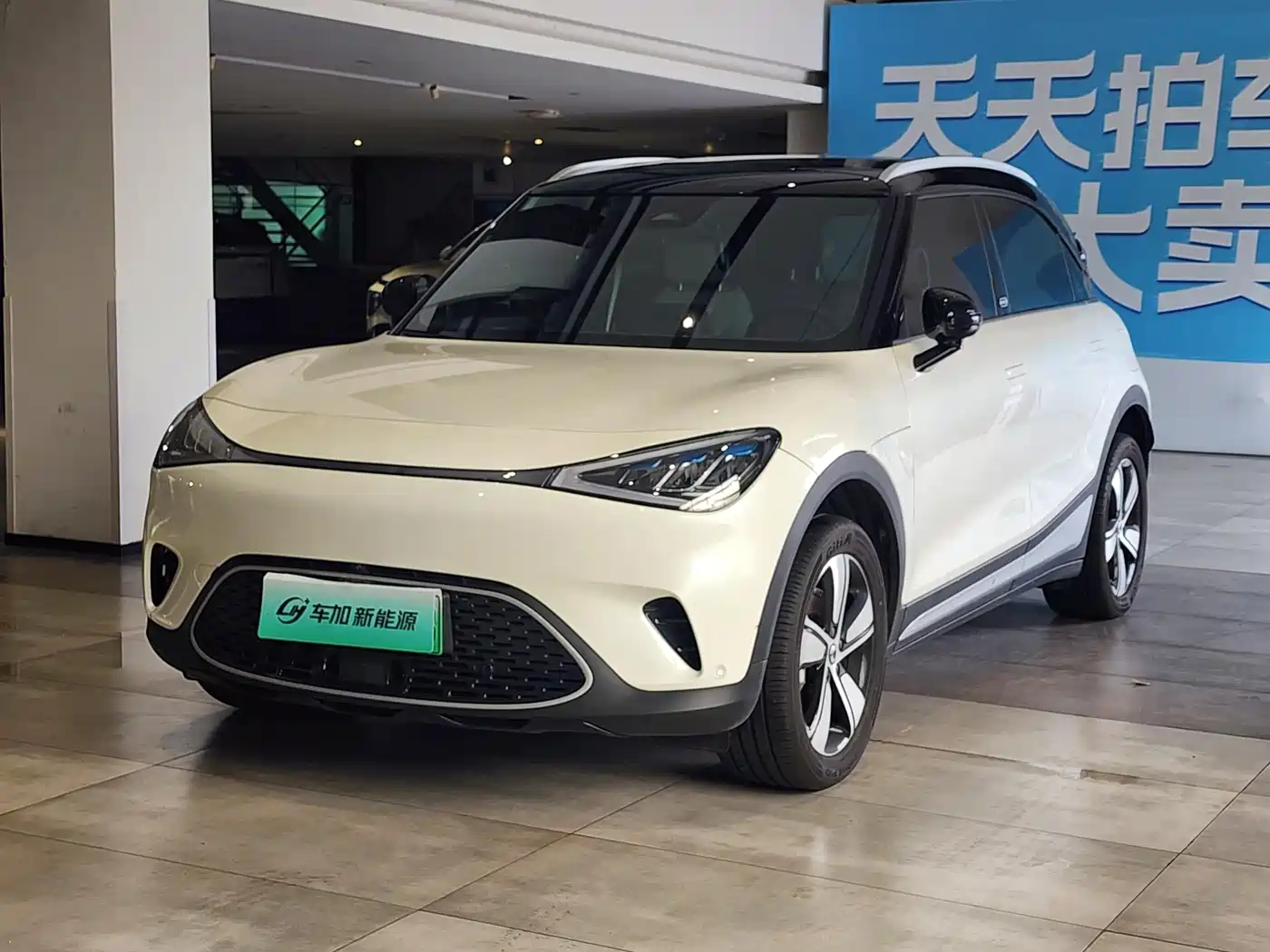 smart Elf #1 2024 Agile Standard Edition