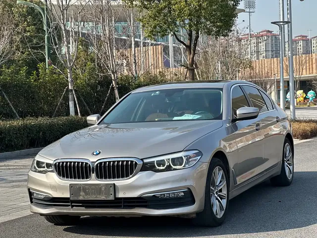 BMW 5 Series 2018 528Li Launch Special Edition