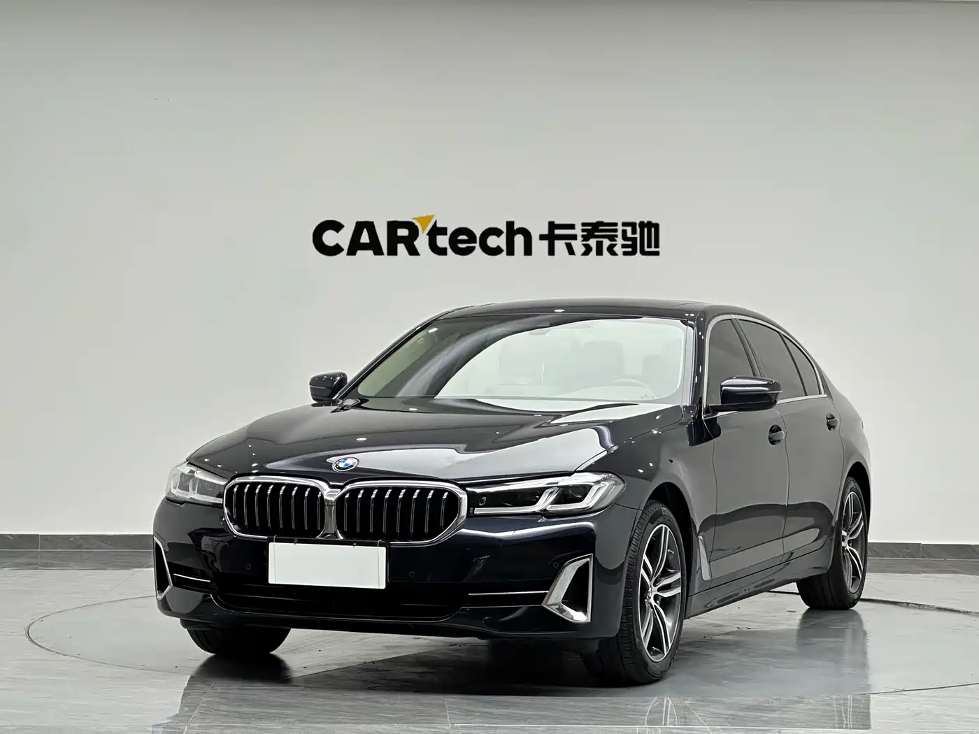 BMW 5 Series 2021 530Li Leading Luxury Package