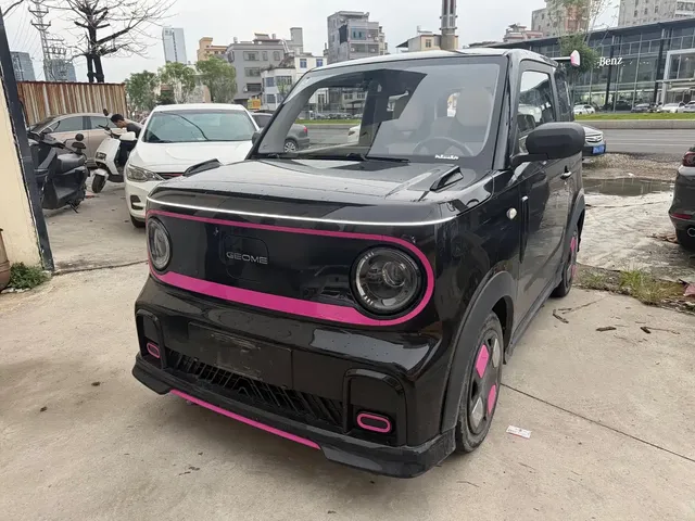 Geely Galaxy Panda 2025 Model Year 210km Panda Kart