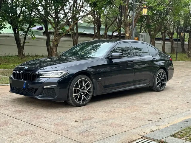 BMW 5 Series 2021 530Li Premium M Sport Package