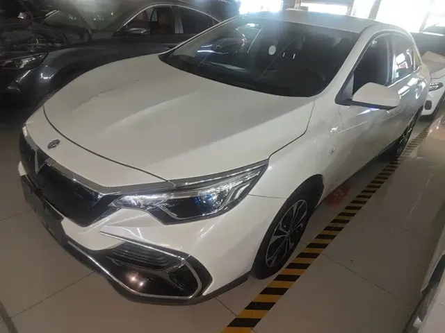 Venucia D60EV 2019 Long-Range Travel Edition
