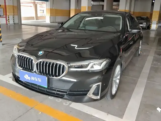 BMW 5 Series New Energy 2021 535Le Luxury Package