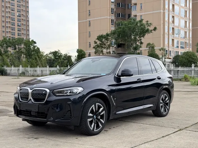 BMW iX3 2023 Leading Type