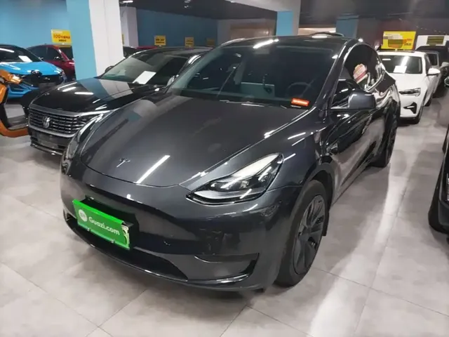 Tesla Model Y 2024 Rear-Wheel Drive Version