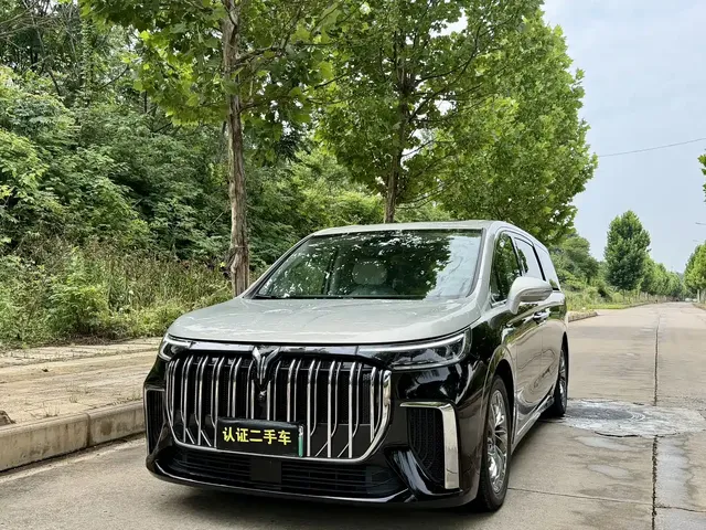 Voyah Auto Voyah Dreamer 2022 Low Carbon Edition Home