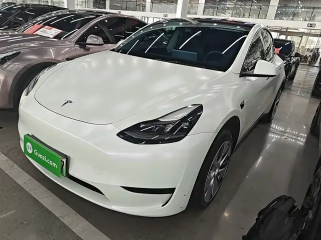 Tesla Model Y 2022 Rear-Wheel Drive Version
