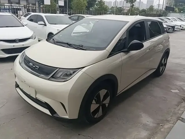 BYD Dolphin 2023 420km Freedom Edition