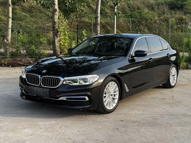 BMW 5 Series New Energy 2019 Facelift 530Le Luxury Package