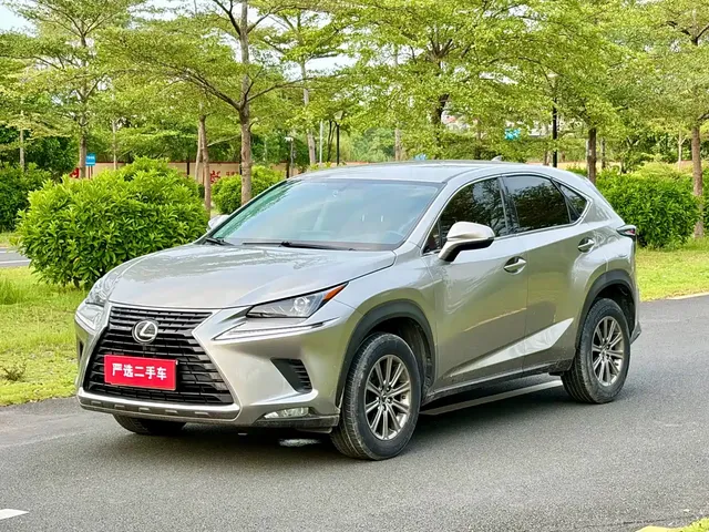 Lexus NX 2020 200 FWD Fengyi Edition China VI