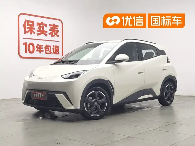 BYD Seagull 2024 Glory Edition 305km Freedom Edition