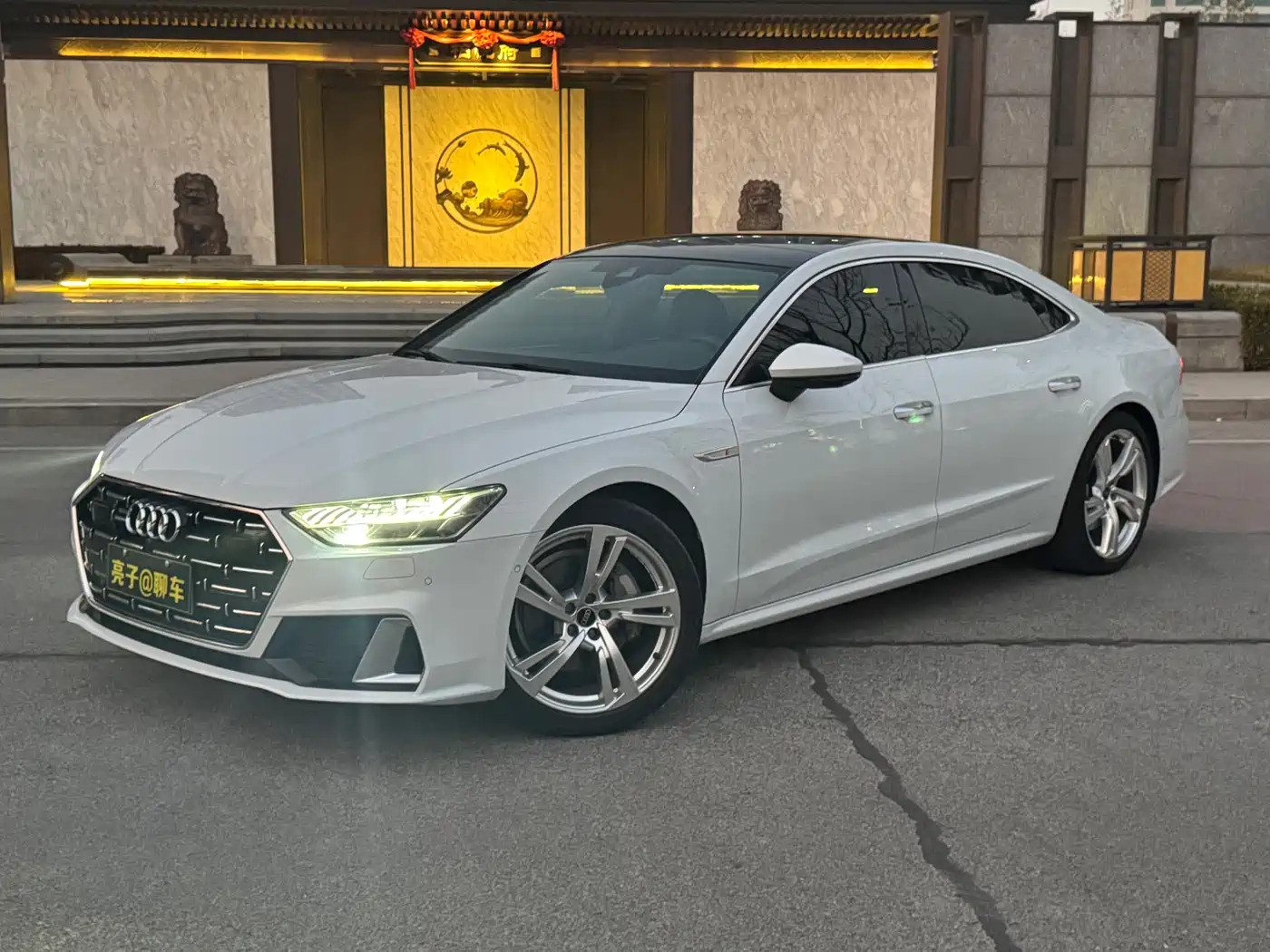 Audi A7L 2023 45 TFSI quattro S-line Shadow Warrior Edition