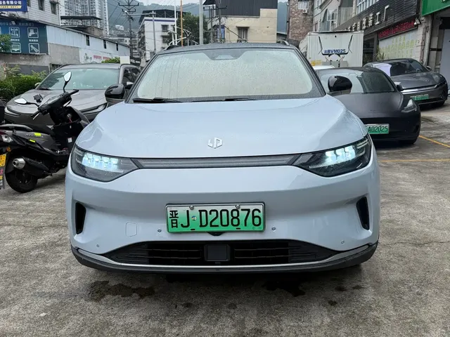 Leapmotor C11 2021 Luxury Edition