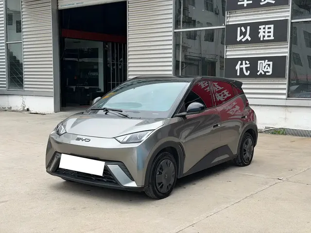 BYD Seagull 2024 Glory Edition 305km Vitality Edition