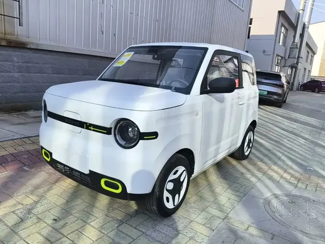 Geely Galaxy Panda 2025 Panda mini 210km Vitality Bear