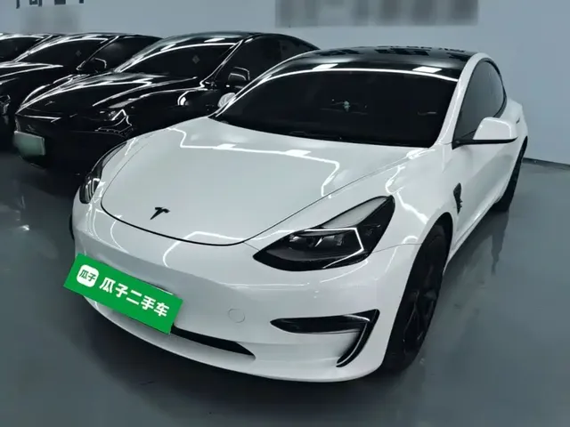 Tesla Model 3 2021 Performance High-Performance All-Wheel Drive 3D6