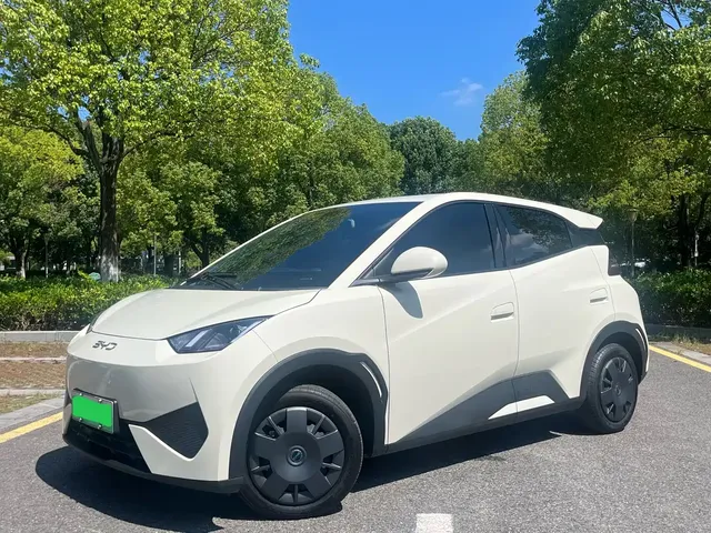 BYD Seagull 2025 Smart Drive Edition 305km Vitality Version