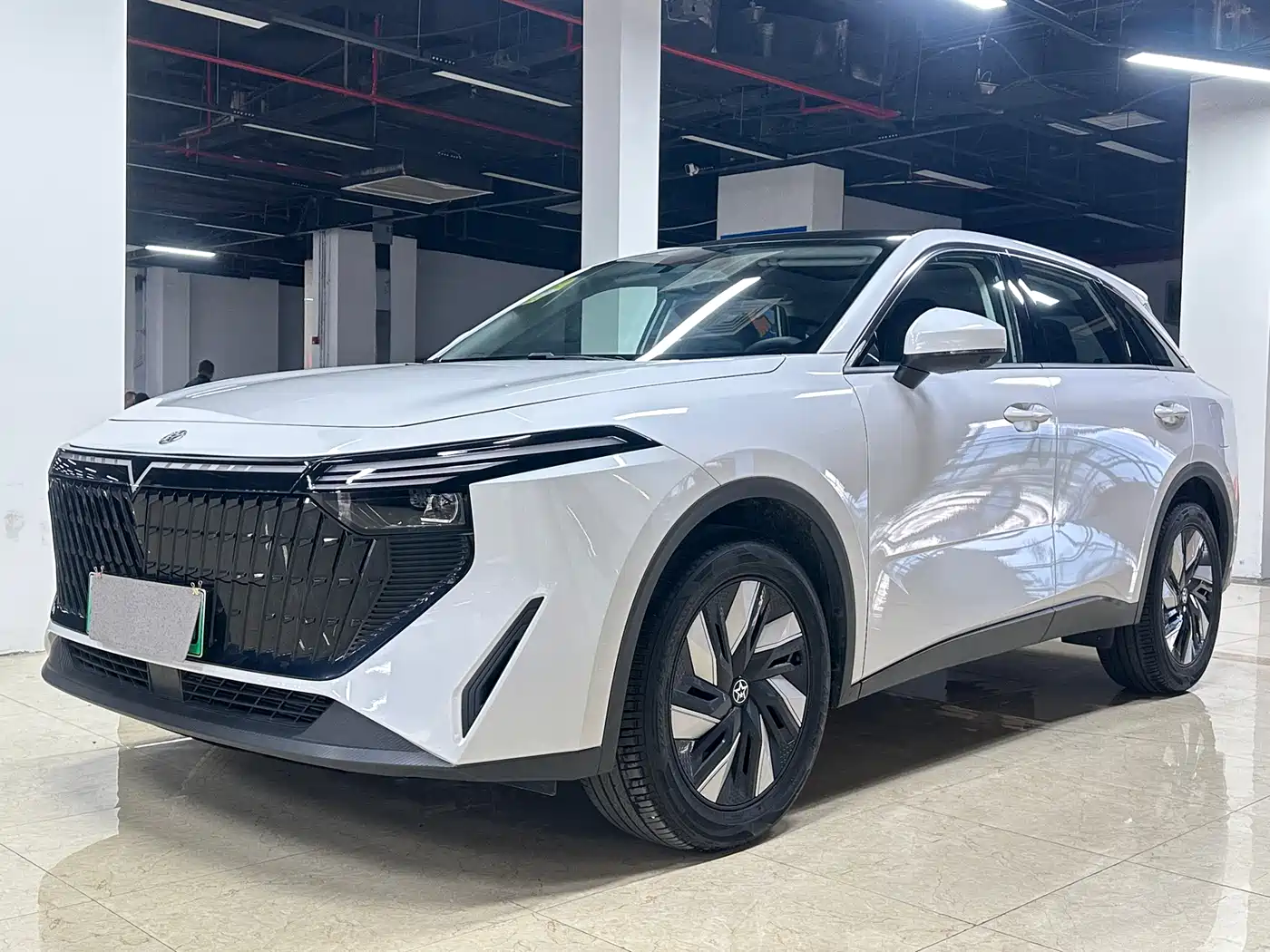 Venucia DaV DD-i 2023 110km iE Edition