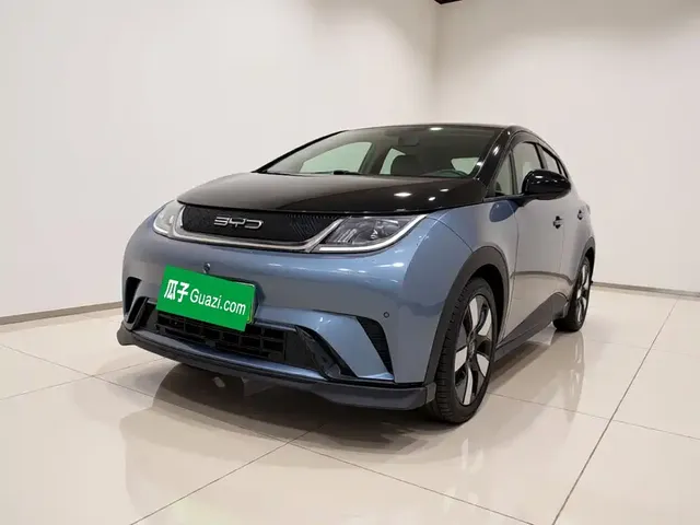BYD Dolphin 2023 401km Knight Edition