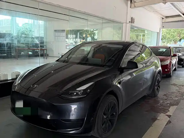 Tesla Model Y 2023 Rear-Wheel Drive Edition