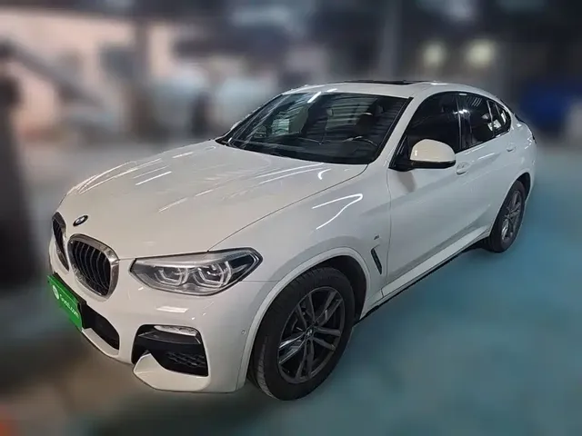 BMW X4 2019 xDrive25i M Sport Package