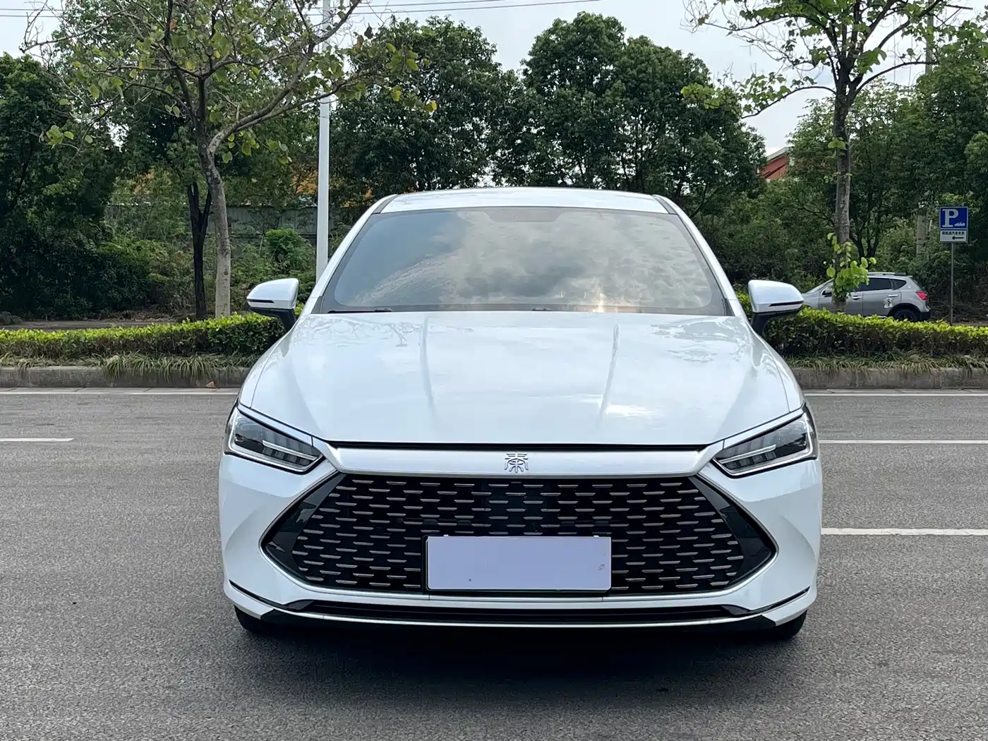 BYD Qin PLUS 2021 DM-i 120KM Premium