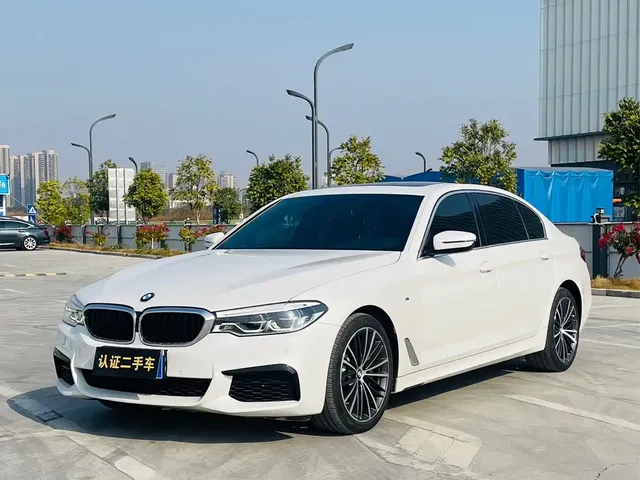 BMW 5 Series 2020 530Li Leading M Sport Package