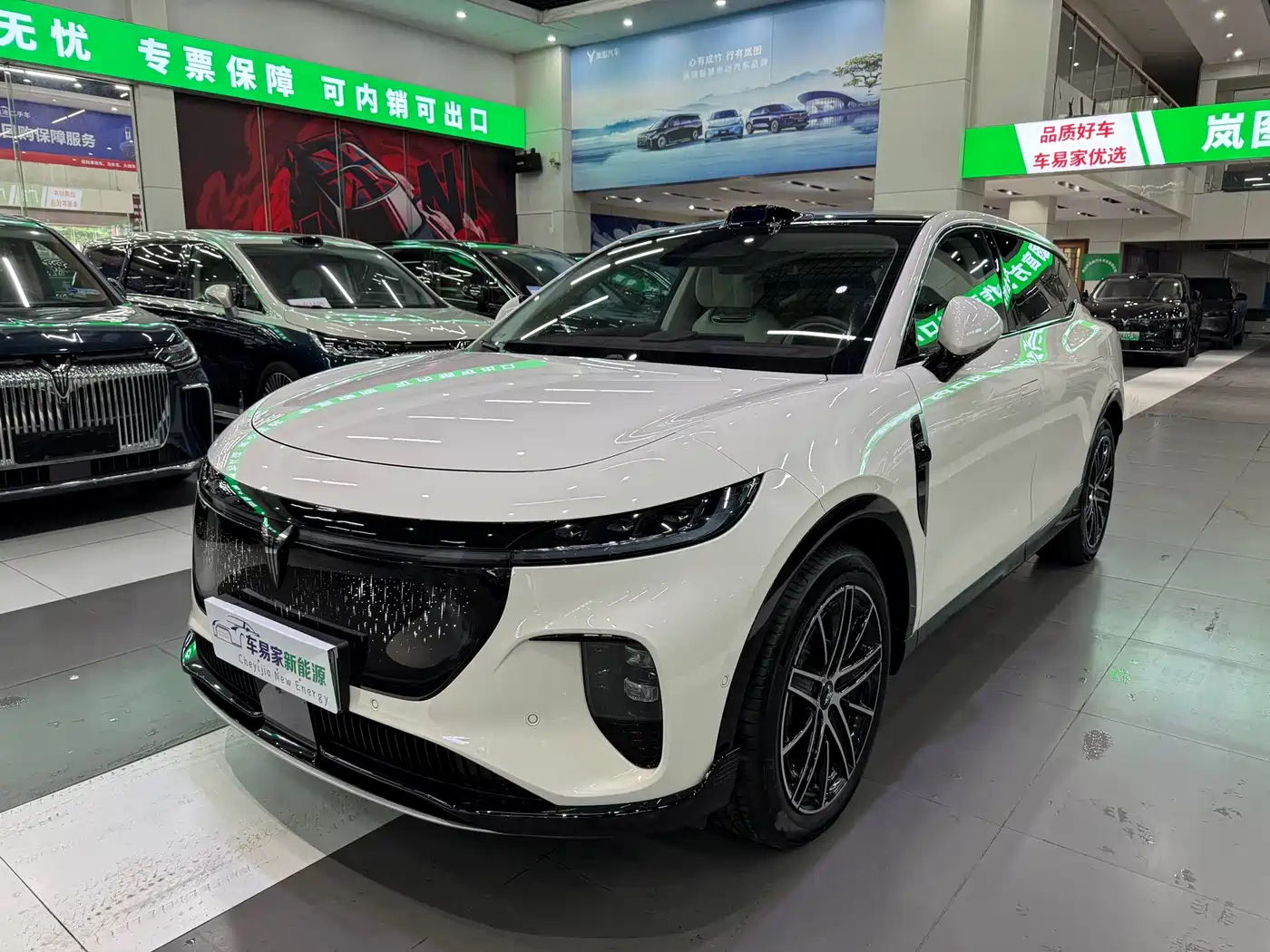 Voyah Auto Voyah Zhiyin 2025 Base