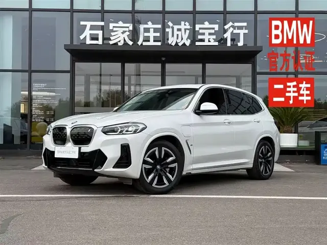 BMW iX3 2023 Leading Type