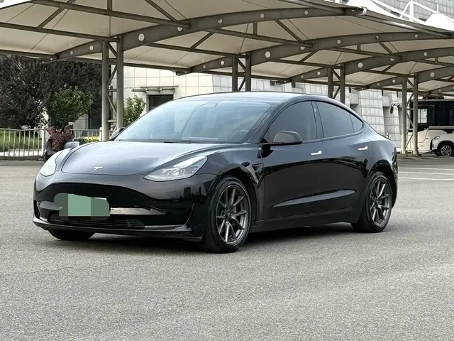 Tesla Model 3 2021 Standard Range Rear-Wheel Drive Upgrade 3D6