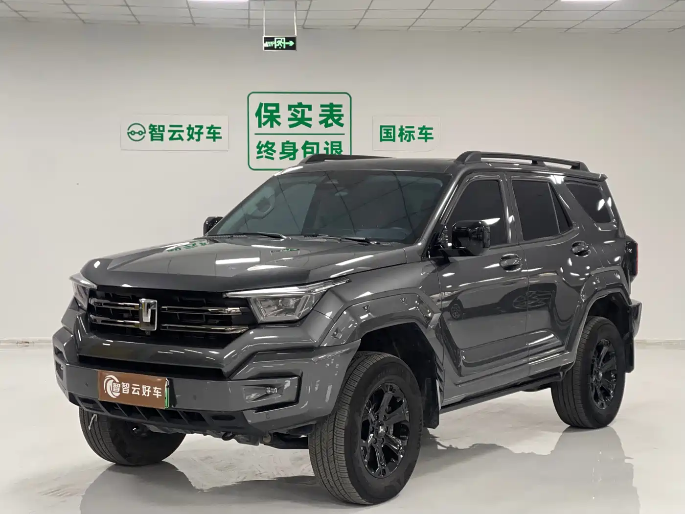Tank 400 New Energy 2024 Hi4-T Off-Road Edition