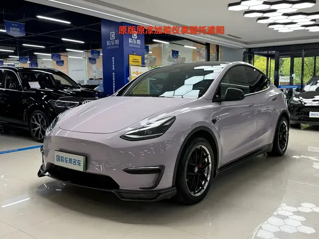 Tesla Model Y 2022 Rear-Wheel Drive Version