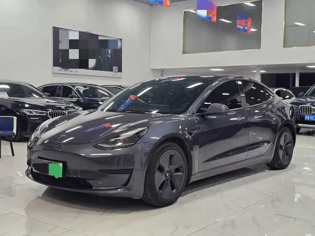 Tesla Model 3 2021 Facelift Standard Range RWD Upgrade 3D1