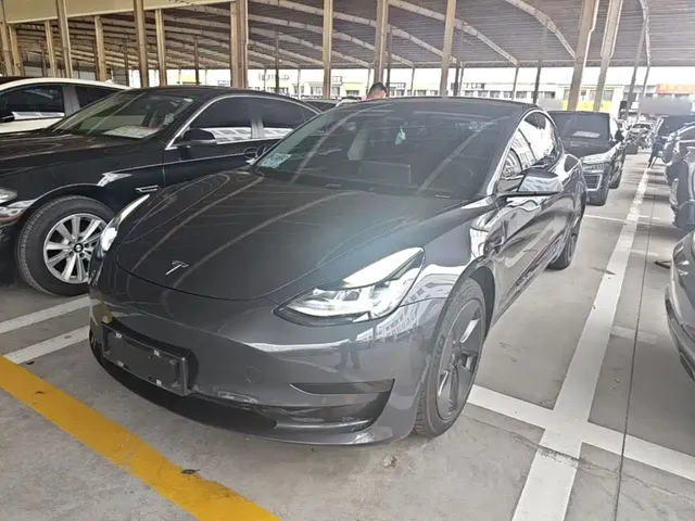 Tesla Model 3 2021 Standard Range Rear-Wheel Drive Upgrade 3D6