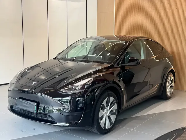 Tesla Model Y 2022 Facelift Rear-Wheel Drive Version