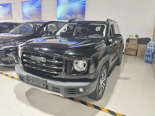 Haval Big Dog 2022 1.5T DCT FWD Border Collie Edition