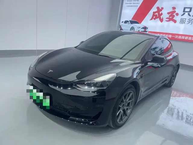 Tesla Model 3 2022 Model Rear-Wheel Drive Version
