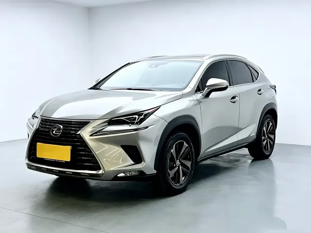 Lexus NX 2020 300h FWD F Sport China V