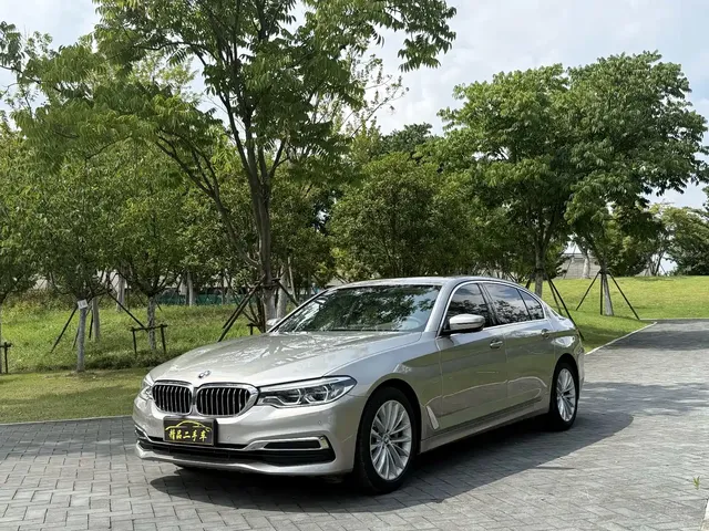BMW 5 Series 2020 530Li Leading Luxury Package
