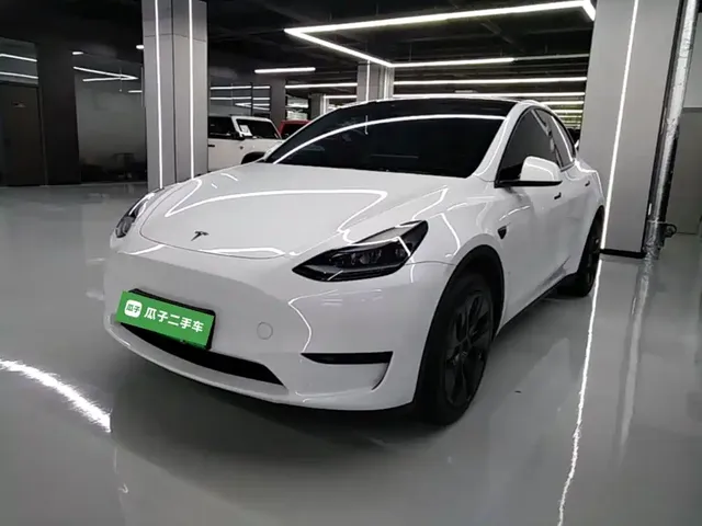 Tesla Model Y 2024 Rear-Wheel Drive Version