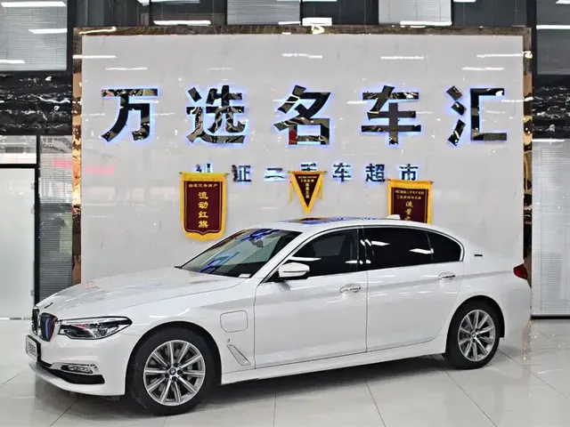 BMW 5 Series New Energy 2019 530Le Luxury Package