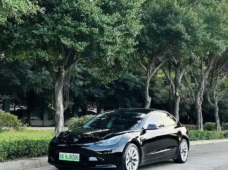 Tesla Model 3 2022 Model Rear-Wheel Drive Version