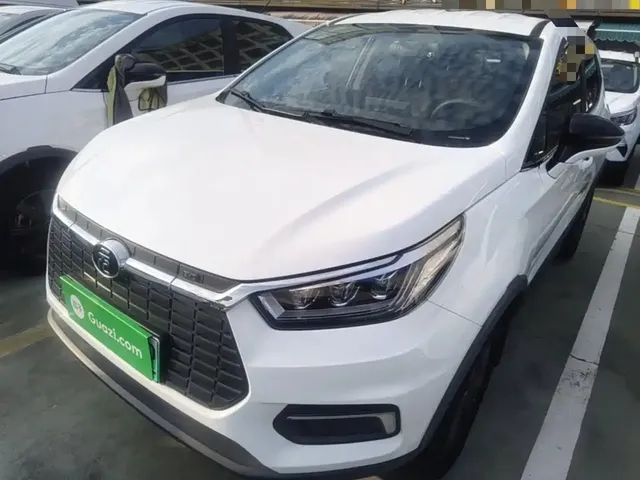 BYD Yuan New Energy 2019 EV535 Smart Connected Trend Leader Type