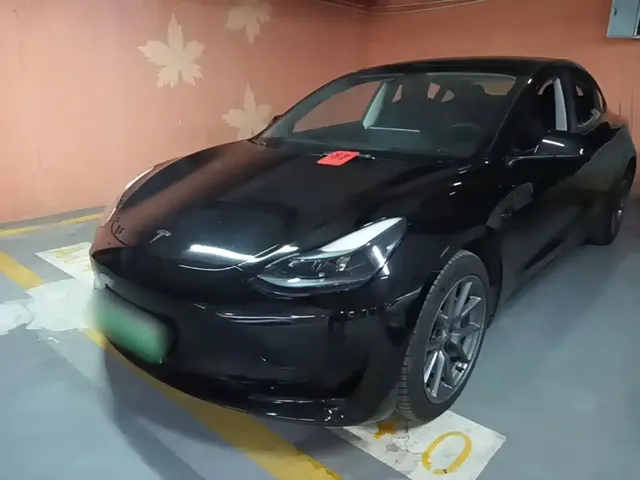 Tesla Model 3 2022 Model Rear-Wheel Drive Version