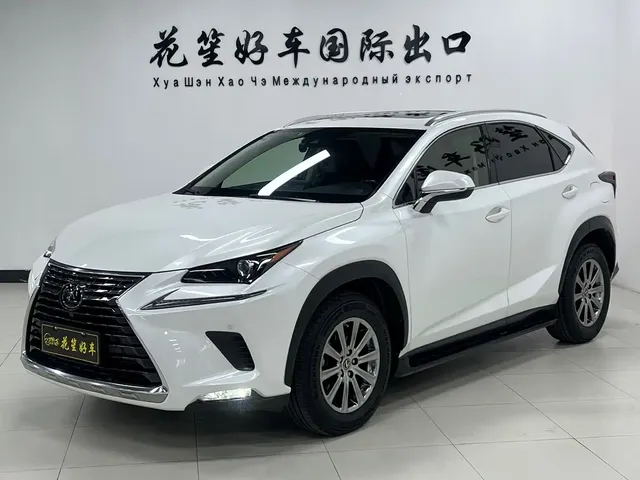 Lexus NX 2020 200 AWD F Sport China V