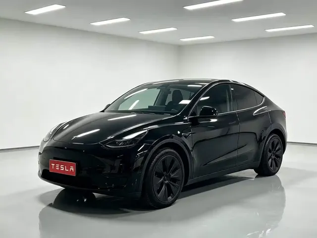 Tesla Model Y 2023 Rear-Wheel Drive Edition