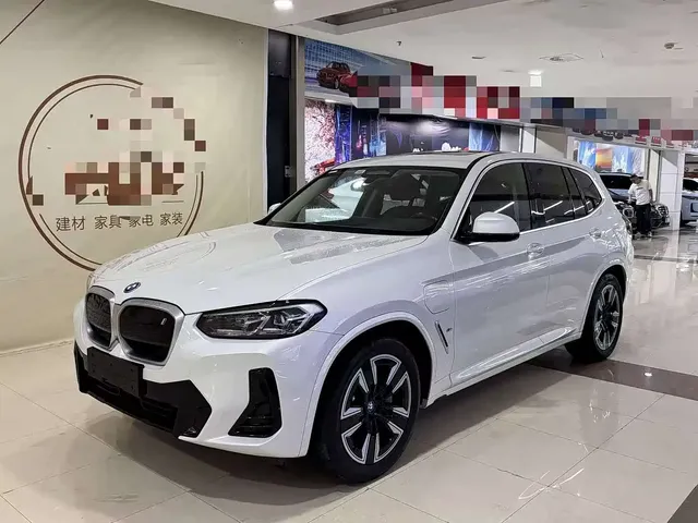 BMW iX3 2023 Leading Type
