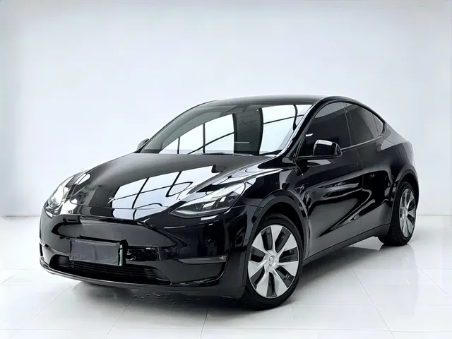 Tesla Model Y 2021 Standard Range Rear-Wheel Drive