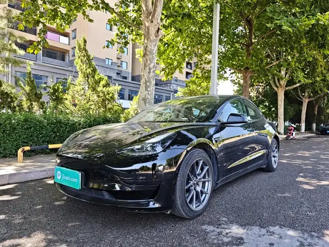Tesla Model 3 2022 Model Rear-Wheel Drive Version