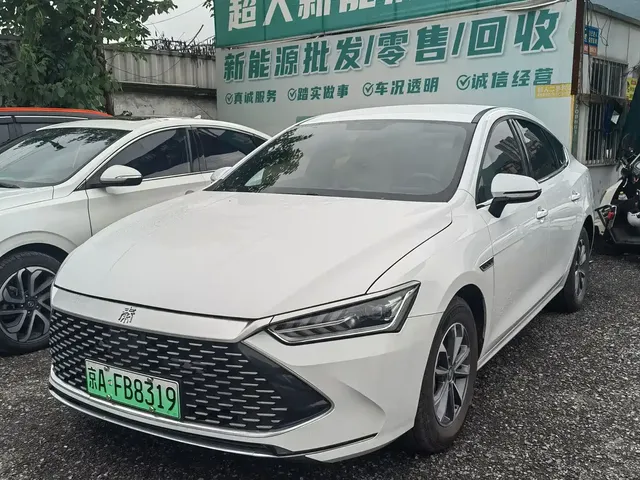 BYD Qin PLUS 2024 Glory Edition DM-i 55KM Surpass